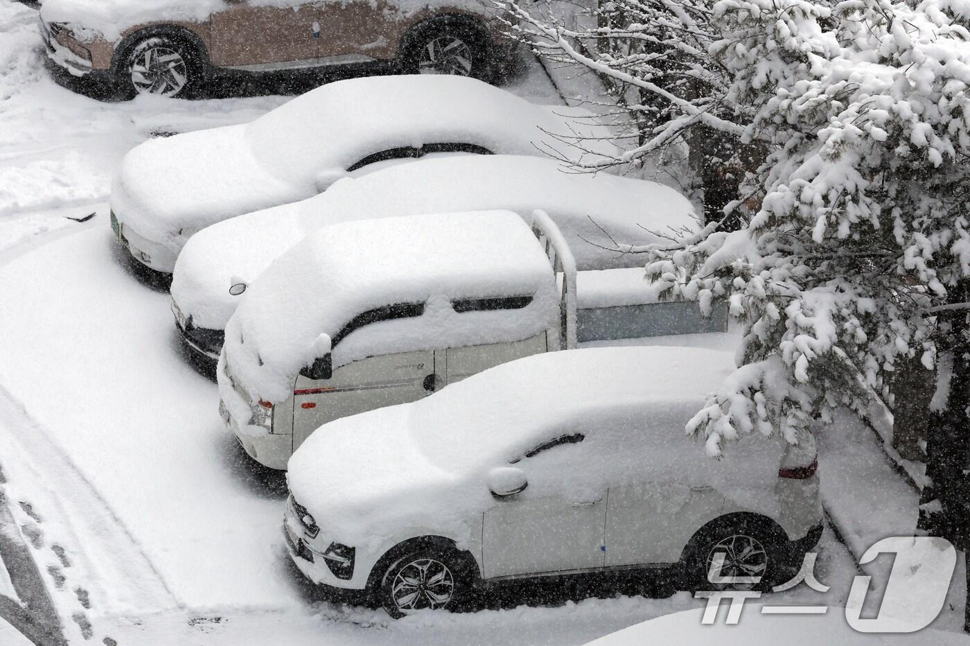 4일 광주 광산구 한 아파트에서 밤사이 내린 눈이 차위에 소복하게 쌓여있다. 2025.2.4./뉴스1 ⓒ News1 김태성 기자