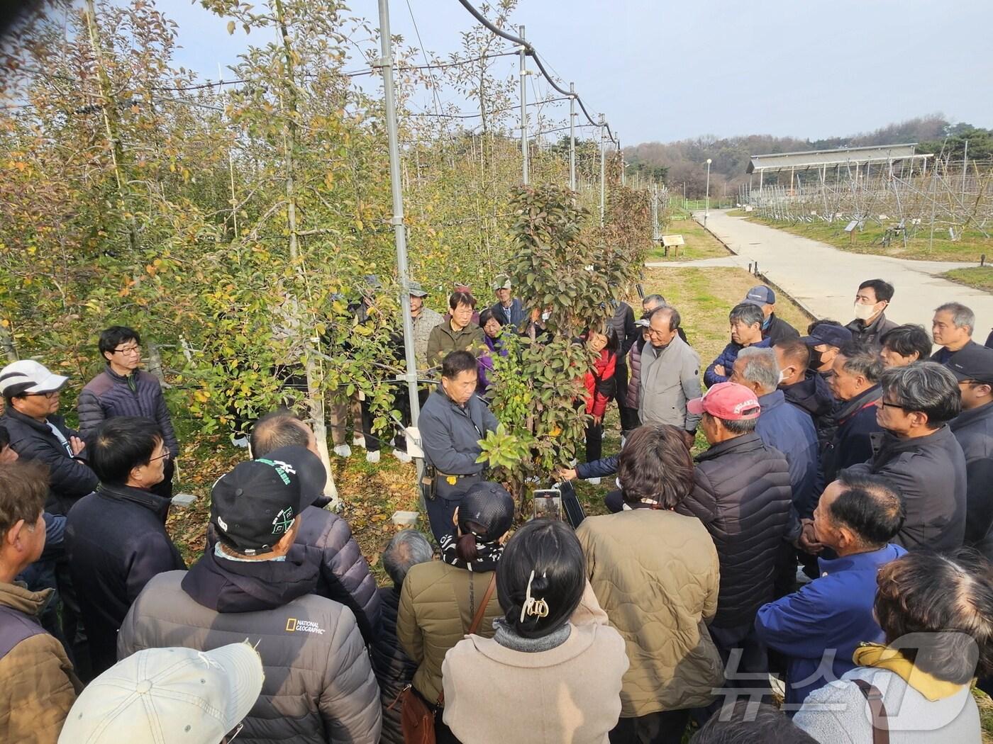 본문 이미지 - 영주 &#39;애플스쿨&#39;에서 농민들을 대상으로 현장 강의를 하고있다&#40;영주시 제공&#41;2025.2.4/뉴스1