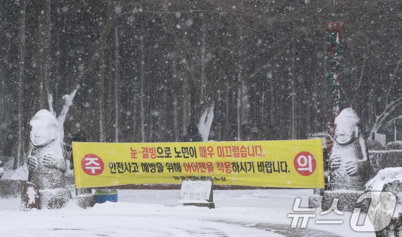 본문 이미지 - 제주 전역에 대설특보가 내려진 4일 오전 제주시 봉개동 절물자연휴양림에 많은 눈이 내려 탐방객이 급히 발걸음을 옮기고 있다. 2025.2.4/뉴스1 ⓒ News1 오현지 기자