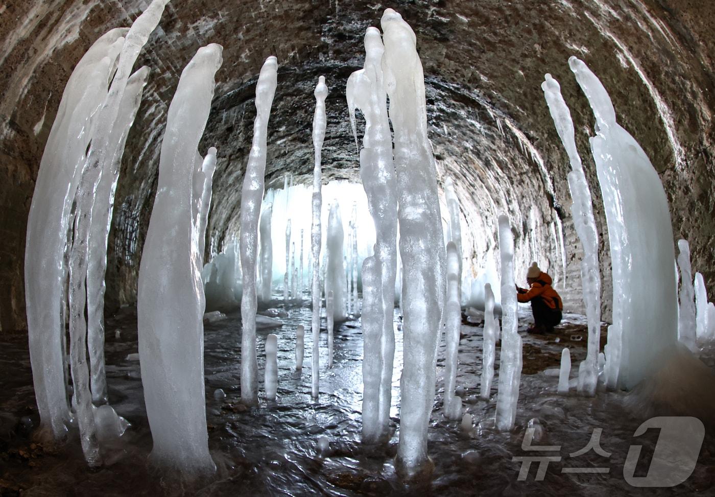 전국 대부분 지역에 한파경보가 내려진 4일 경기 연천군 신서면 경원선 폐터널에 역고드름이 솟아올라 장관을 펼치고 있다. 2025.2.4/뉴스1 ⓒ News1 김도우 기자