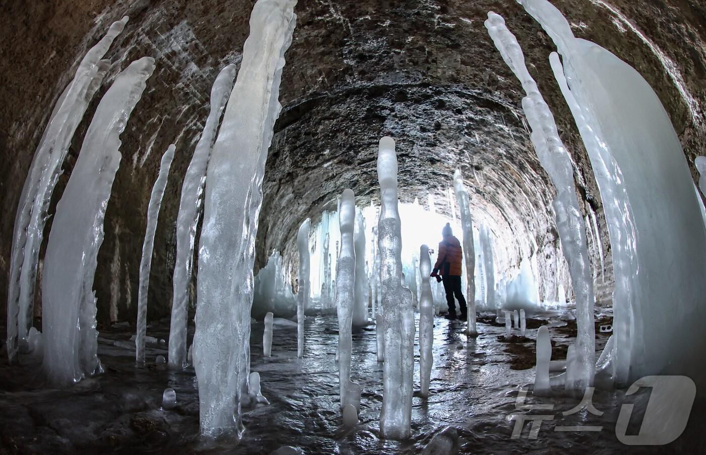 전국 대부분 지역에 한파경보가 내려진 4일 경기 연천군 신서면 경원선 폐터널에 역고드름이 솟아올라 장관을 펼치고 있다. 2025.2.4/뉴스1 ⓒ News1 김도우 기자