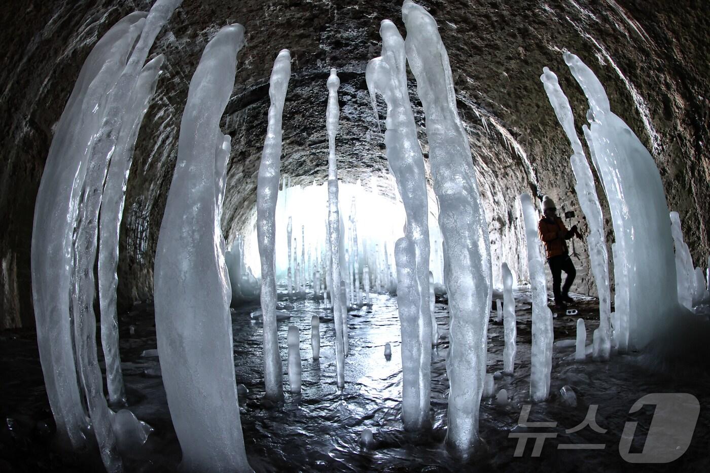 전국 대부분 지역에 한파경보가 내려진 4일 경기 연천군 신서면 경원선 폐터널에 역고드름이 솟아올라 장관을 펼치고 있다. 2025.2.4/뉴스1 ⓒ News1 김도우 기자