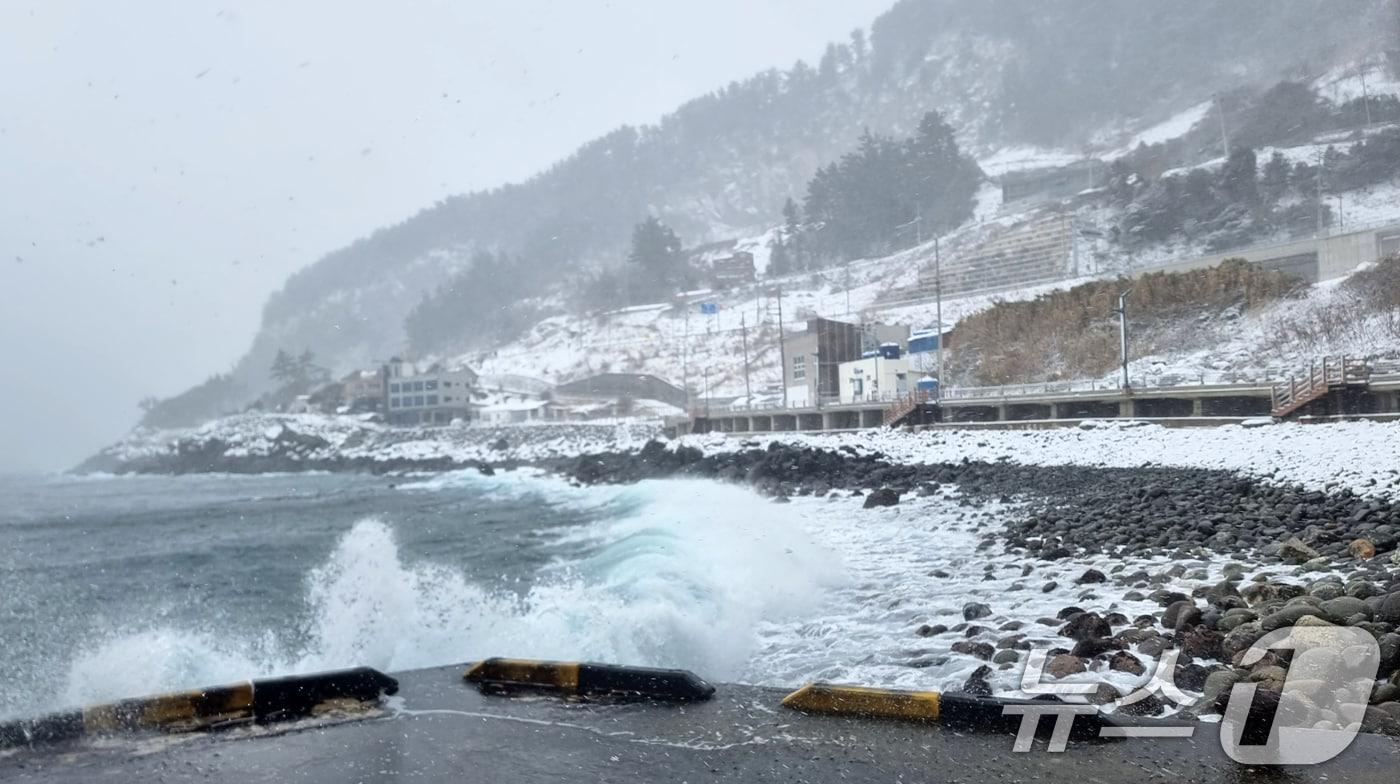 본문 이미지 - 4일 대설경보가 발령된 경북 울릉도에 눈보라가 휘몰아쳤다. 대구기상청은 "동해상에 발달한 눈 구름대의 영향으로 울릉도와 독도에 시간당 3~5㎝의 강하고 많은 눈이 내리겠다"며 안전사고와 시설물 관리에 주의를 당부했다.(독자 제공) 2025.2.4/뉴스1 ⓒ News1 최창호 기자