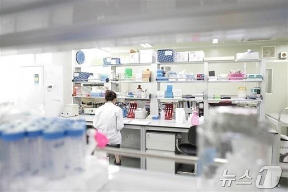 본문 이미지 - 신라젠 연구원이 신약 연구소에서 후보물질 분석을 하고 있다.&#40;신라젠 제공&#41;/뉴스1
