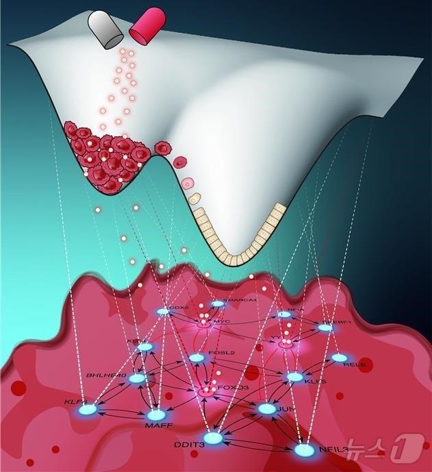 본문 이미지 - 연구 모식도.(KAIST 제공)/뉴스1