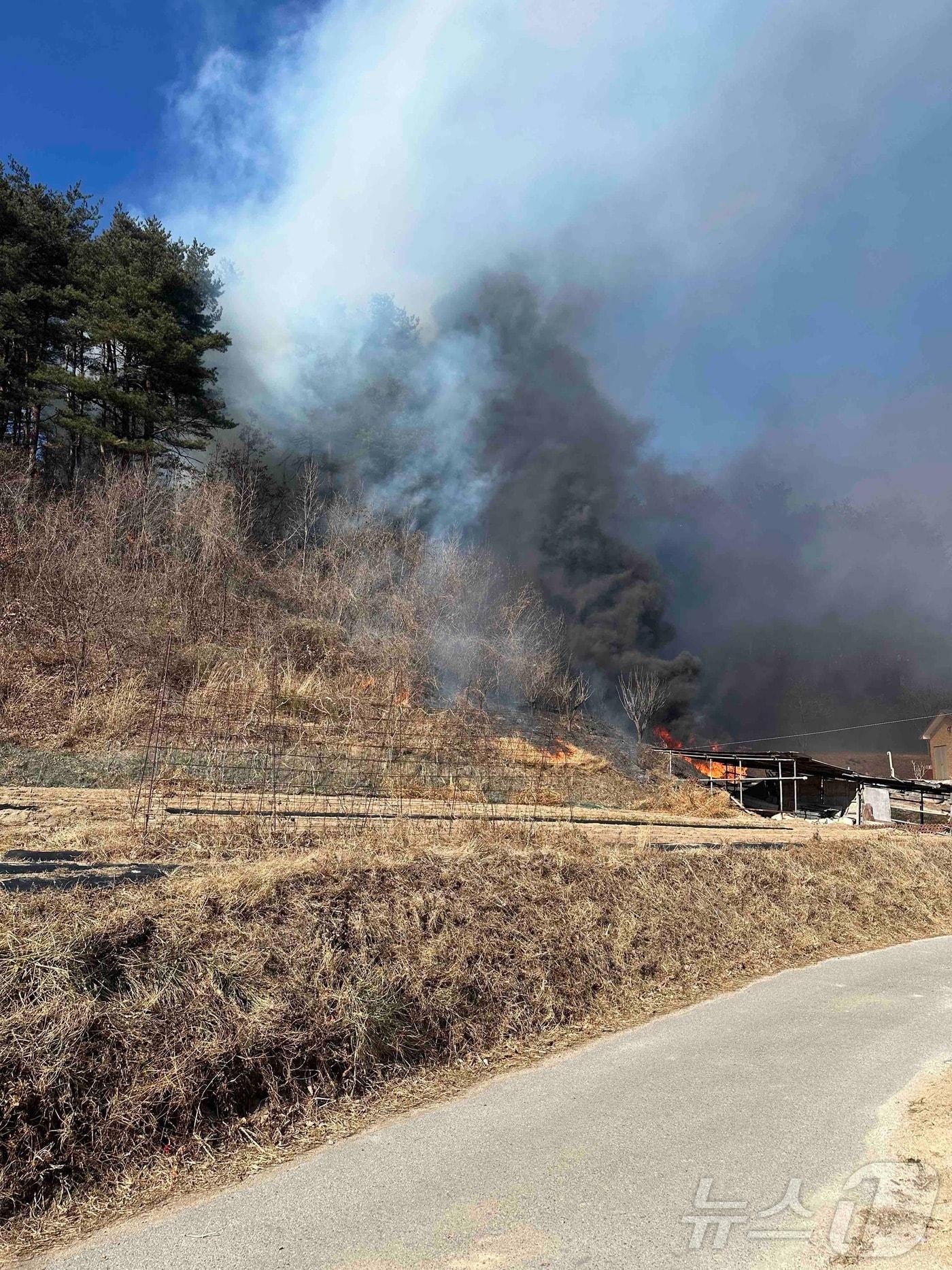 본문 이미지 - 5일 낮 강릉 연곡면 산불 진화현장.(강릉소방서 제공) 2025.2.5/뉴스1