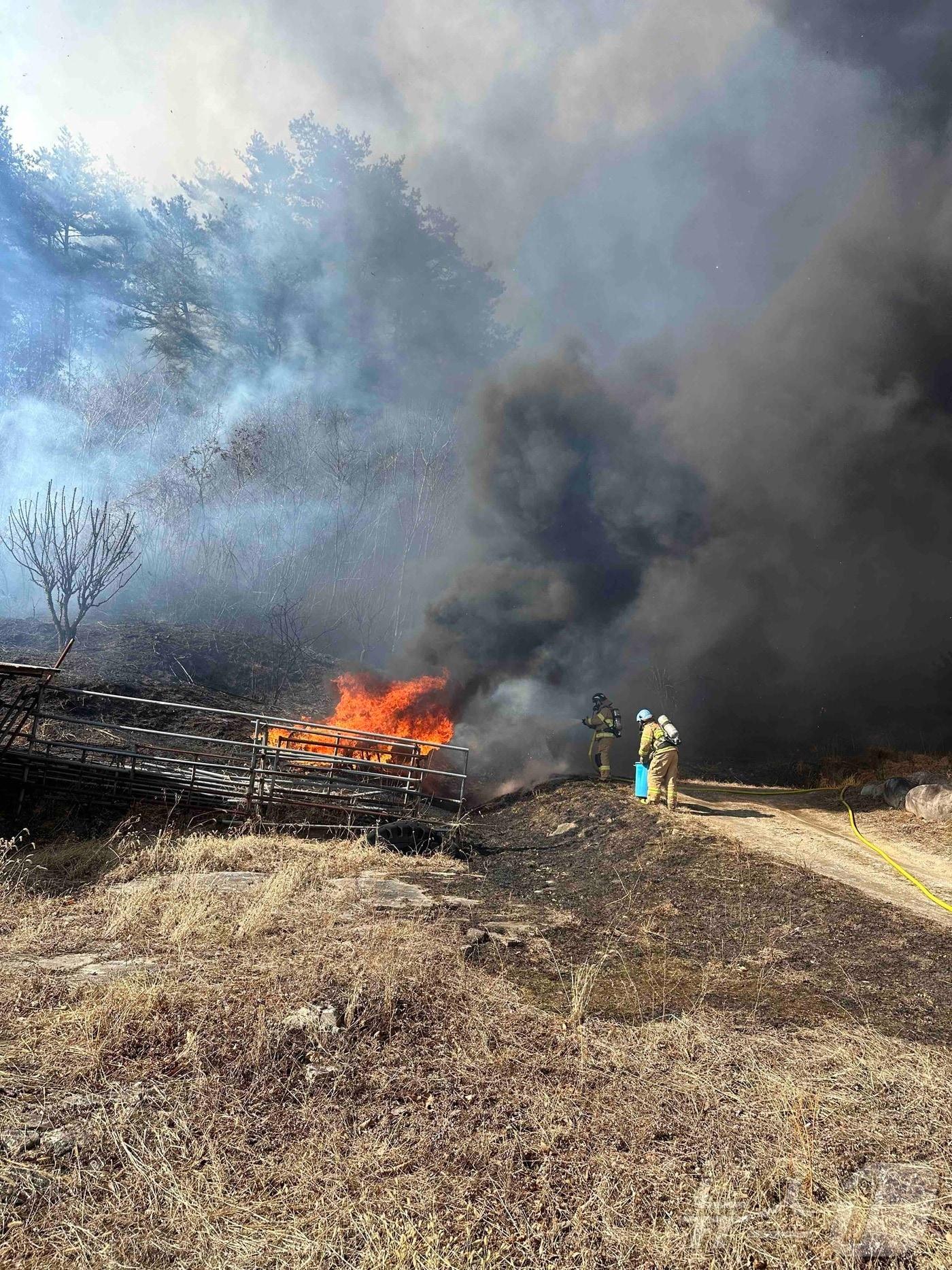 본문 이미지 - 5일 낮 강릉 연곡면 산불 진화현장.(강릉소방서 제공) 2025.2.5/뉴스1