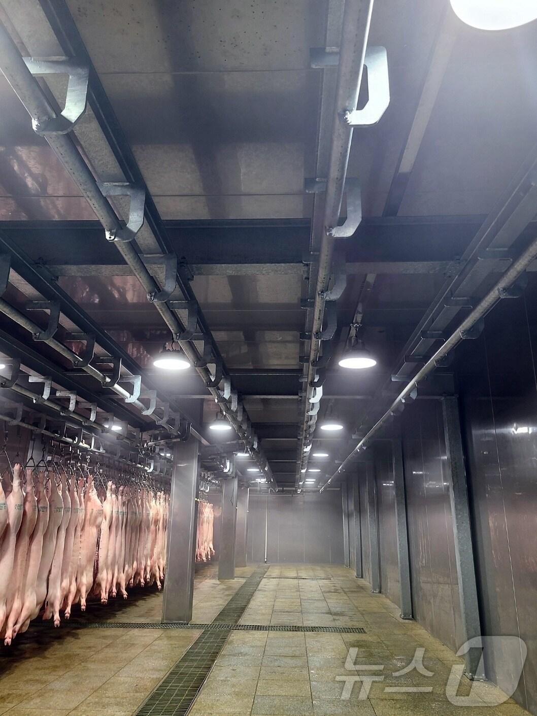본문 이미지 -  정읍 삼정푸드 사업장 내부(정읍시 제공)2025.2.5/뉴스1
