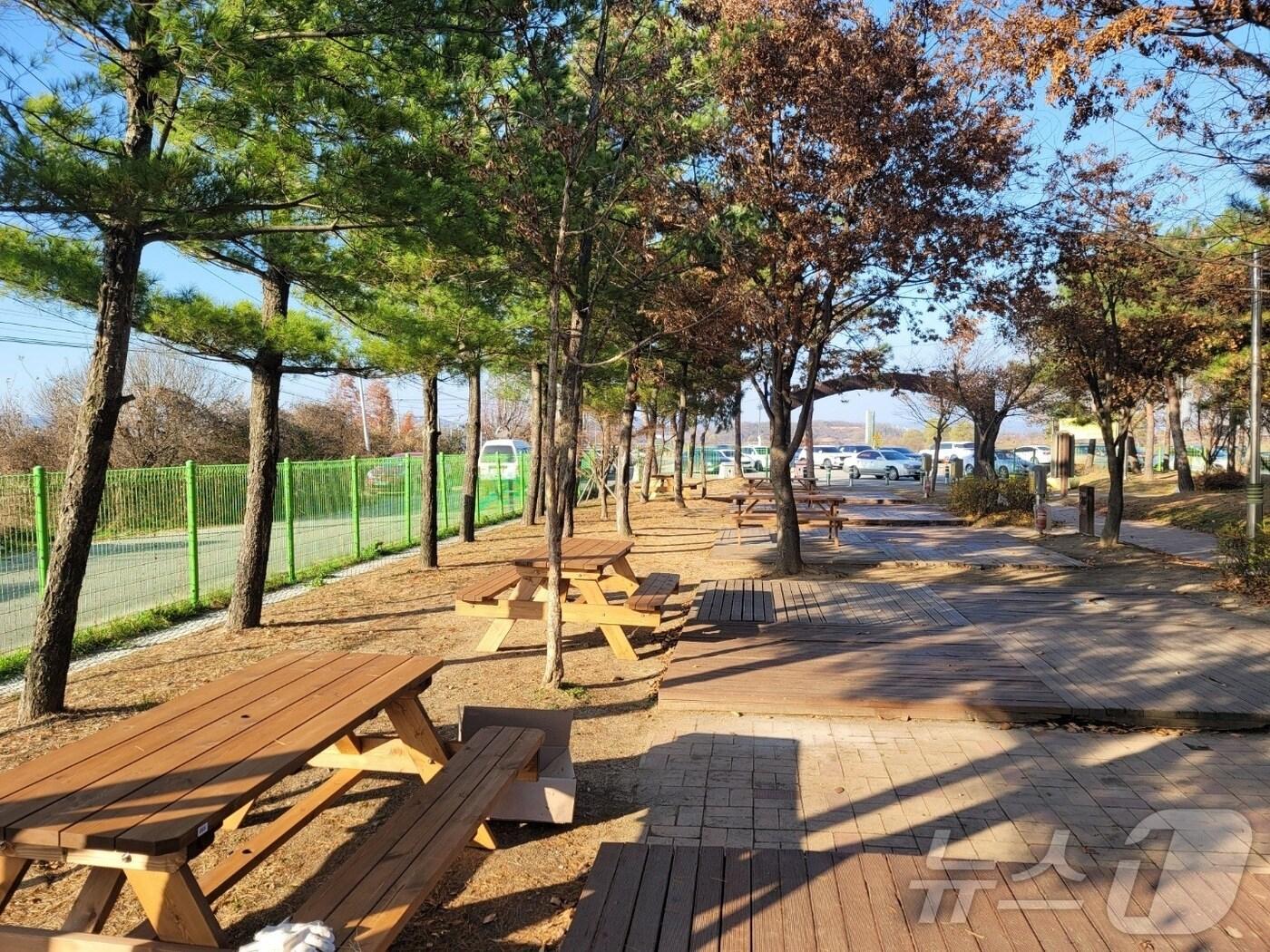 본문 이미지 - 문암생태공원 캠핑장(청주시 제공).2025.1.31/뉴스1 