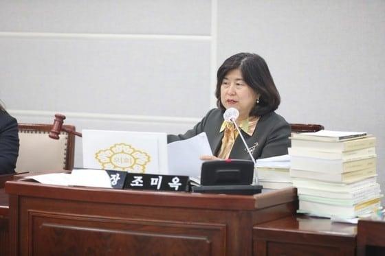 본문 이미지 - 조미옥 경기 수원시의회 의원./ (수원시의회 제공) 뉴스1