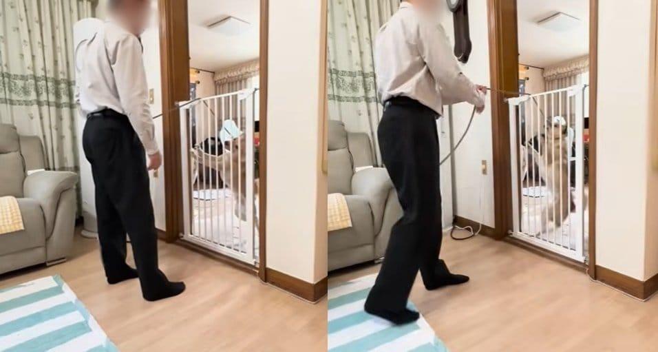 본문 이미지 - 가정방문 훈련을 하는 유튜버 A씨는 지난해 개를 훈련시킨다는 명목으로 안전문 안쪽에 있는 개의 목줄을 여러 차례 들어 올리며 벽에 내리치는 장면이 포함된 영상을 올렸다. &#40;유튜브 채널 갈무리&#41;