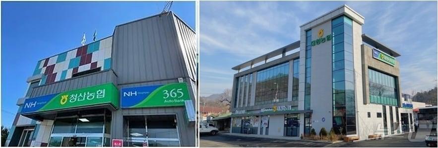 본문 이미지 - 옥천군 청산농협(왼쪽)과 대청농협 전경 /뉴스1 
