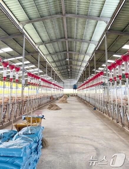 본문 이미지 - 정읍시가 6일 축산농가의 재정 부담을 줄이기 위해 가축재해보험 농업인 부담금을 지원한다고 밝혔다.&#40;정읍시 제공&#41;2025.2.6/뉴스1 