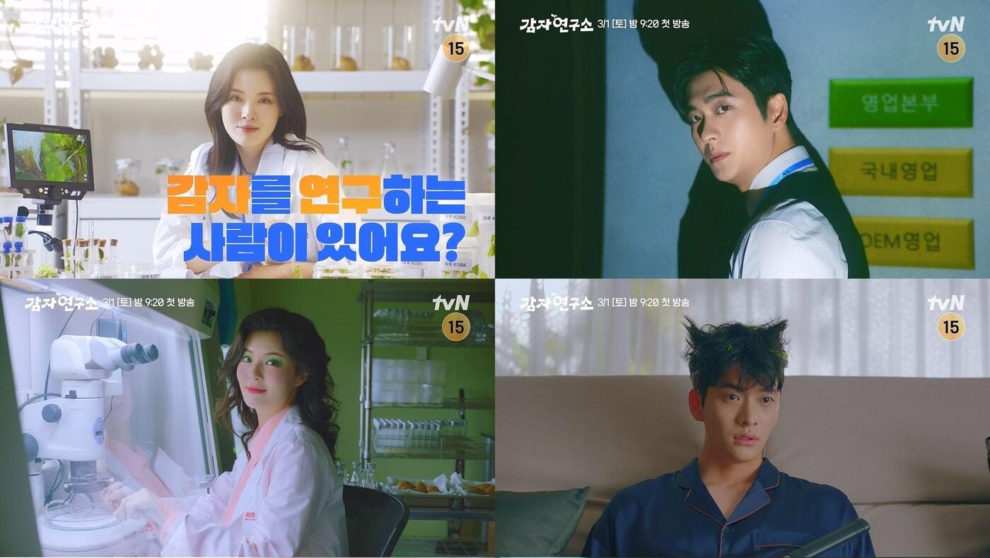 tvN '감자연구소'