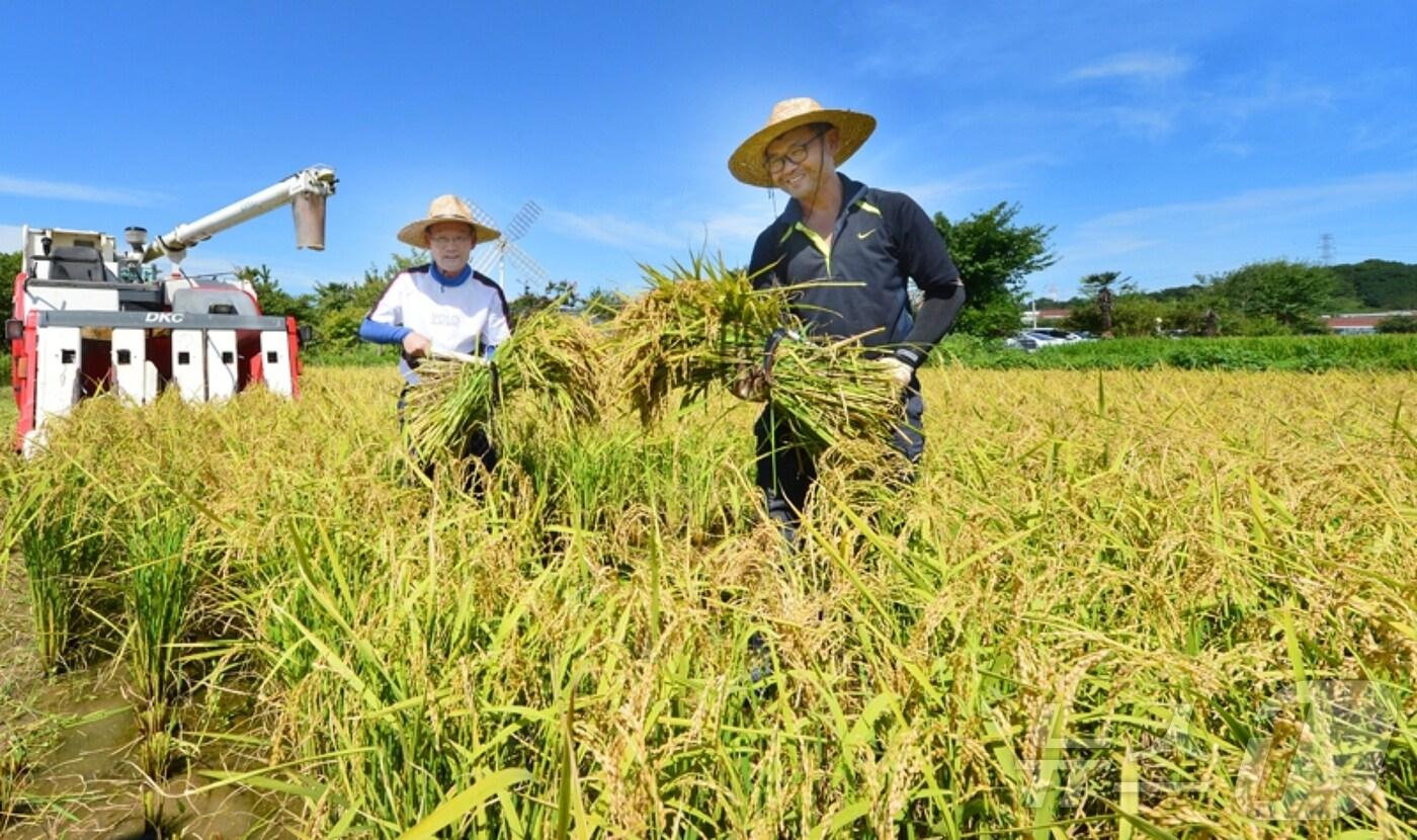 증평군 농촌일손더하기 사업으로 벼베기를 지원하는 모습/뉴스1