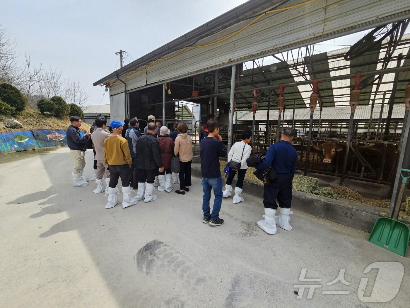 본문 이미지 - 축산기술 심화교육 수강생들이 현장실습을 하고있다(영주시 제공)2025.2.7/뉴스1