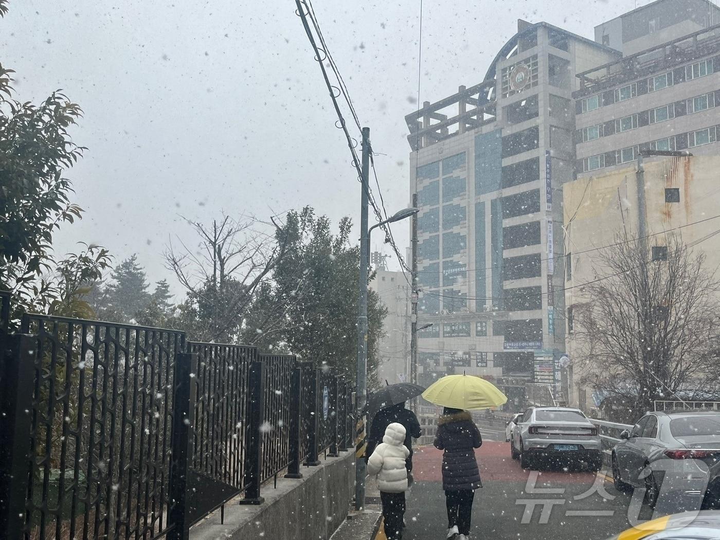 본문 이미지 - 강풍주의보가 발효된 7일 오전 부산 연제구에 눈이 내리고 있다. 기상청에 따르면 이날 예상 강수량은 1mm 미만, 예상 적설량은 1cm 내외다. 2025.2.7/뉴스1 ⓒ News1 장광일 기자