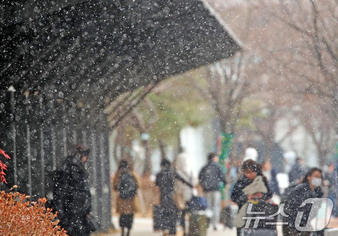 본문 이미지 - 지난달 7일 오후 부산 강서구 김해국제공항 국제선 청사 앞에 눈이 내리고 있다. 2025.2.7/뉴스1 ⓒ News1 윤일지 기자