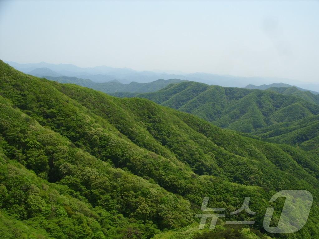 본문 이미지 - 김제 모악산도립공원.(김제시 제공) 2025.2.9/뉴스1