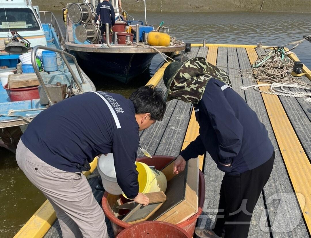 본문 이미지 - 실뱀장어 불법어업 특별단속 모습.&#40;충남도 제공&#41;./뉴스1