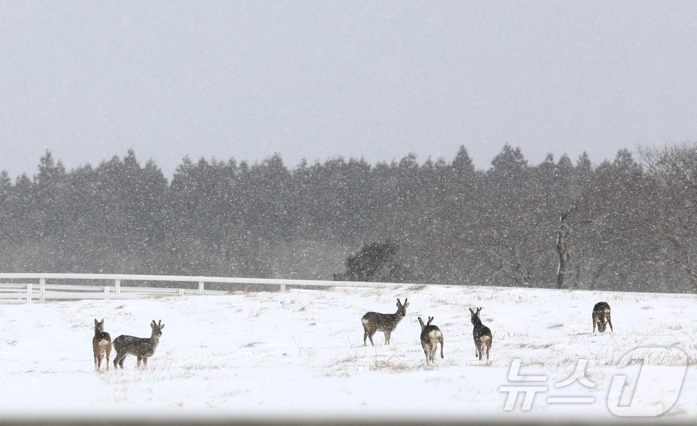 자료사진.ⓒ News1