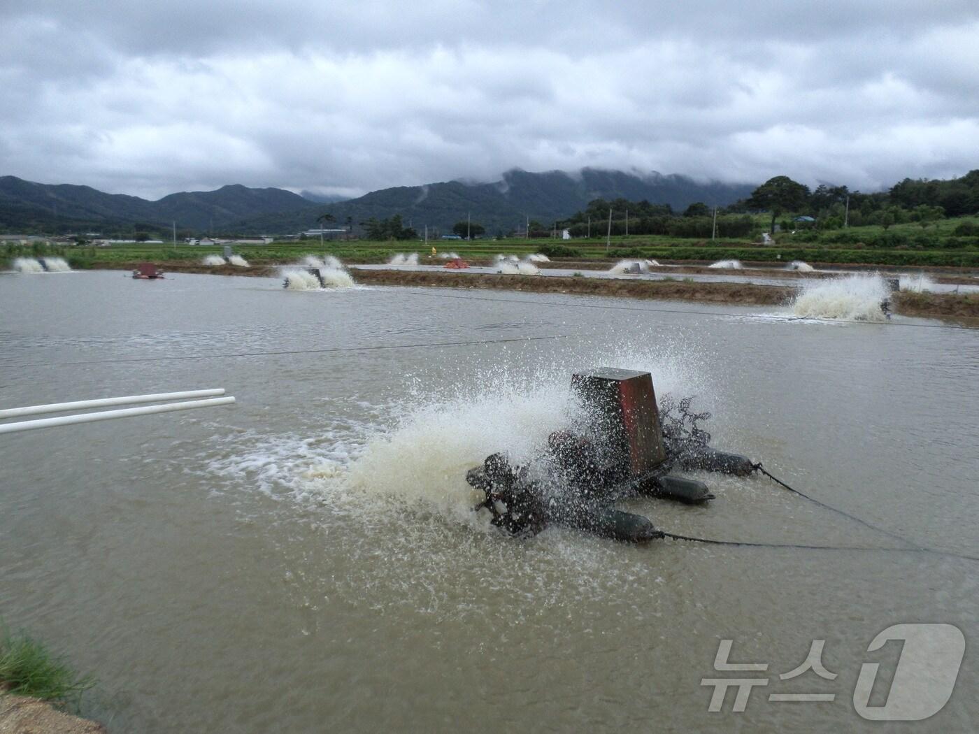 본문 이미지 - 정읍시가 내수면 양식어가의 경쟁력 강화와 생산성 향상을 위해 올해 17개 사업에 3억 2000만원을 투입한다. 정읍의 한 내수면 양식장(정읍시 제공)2025.2.9/뉴스1 