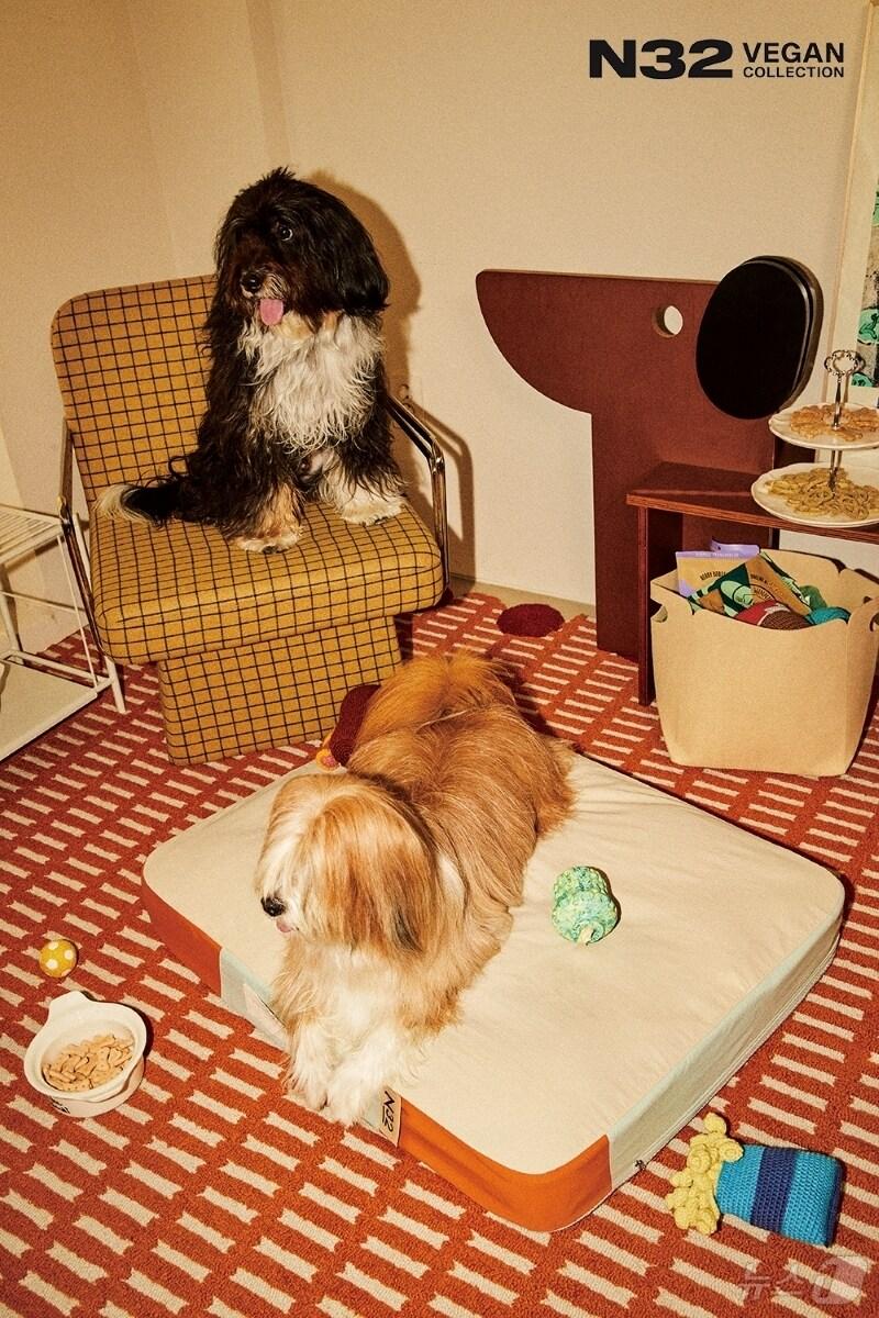 본문 이미지 - 펫 매트리스 &#39;N32 쪼꼬미&#39; &#40;시몬스 제공&#41;