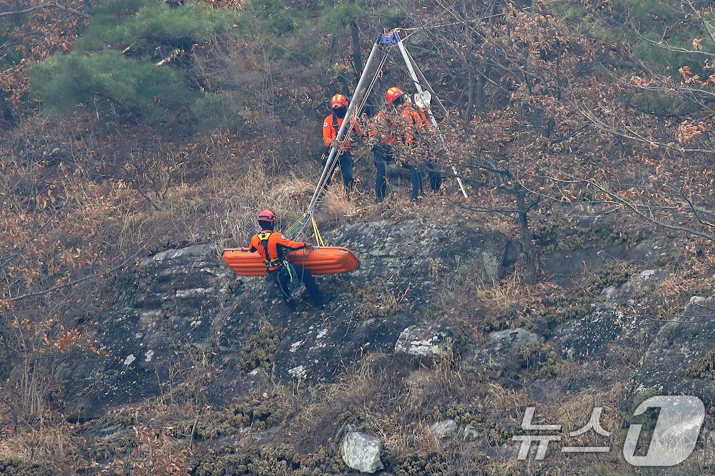 자료사진/뉴스1