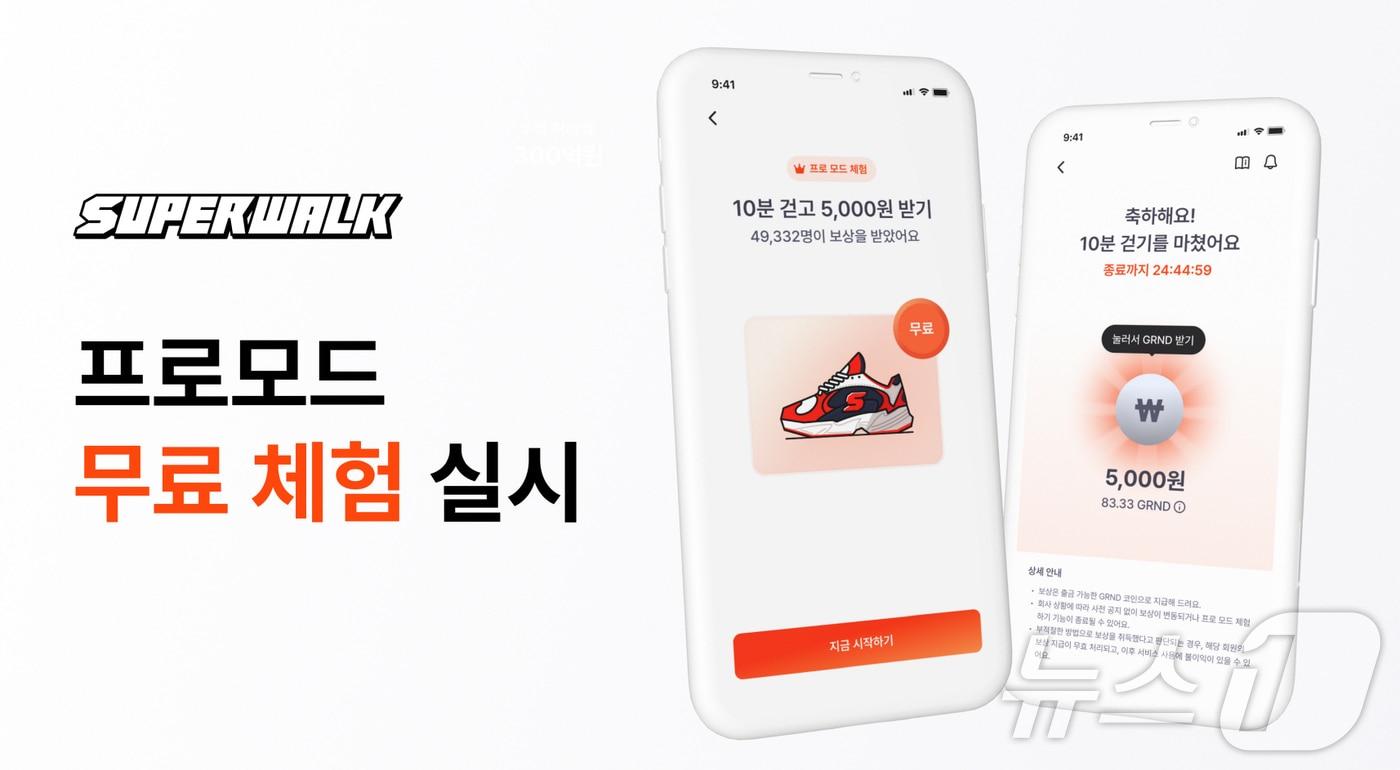  (프로그라운드 제공.)