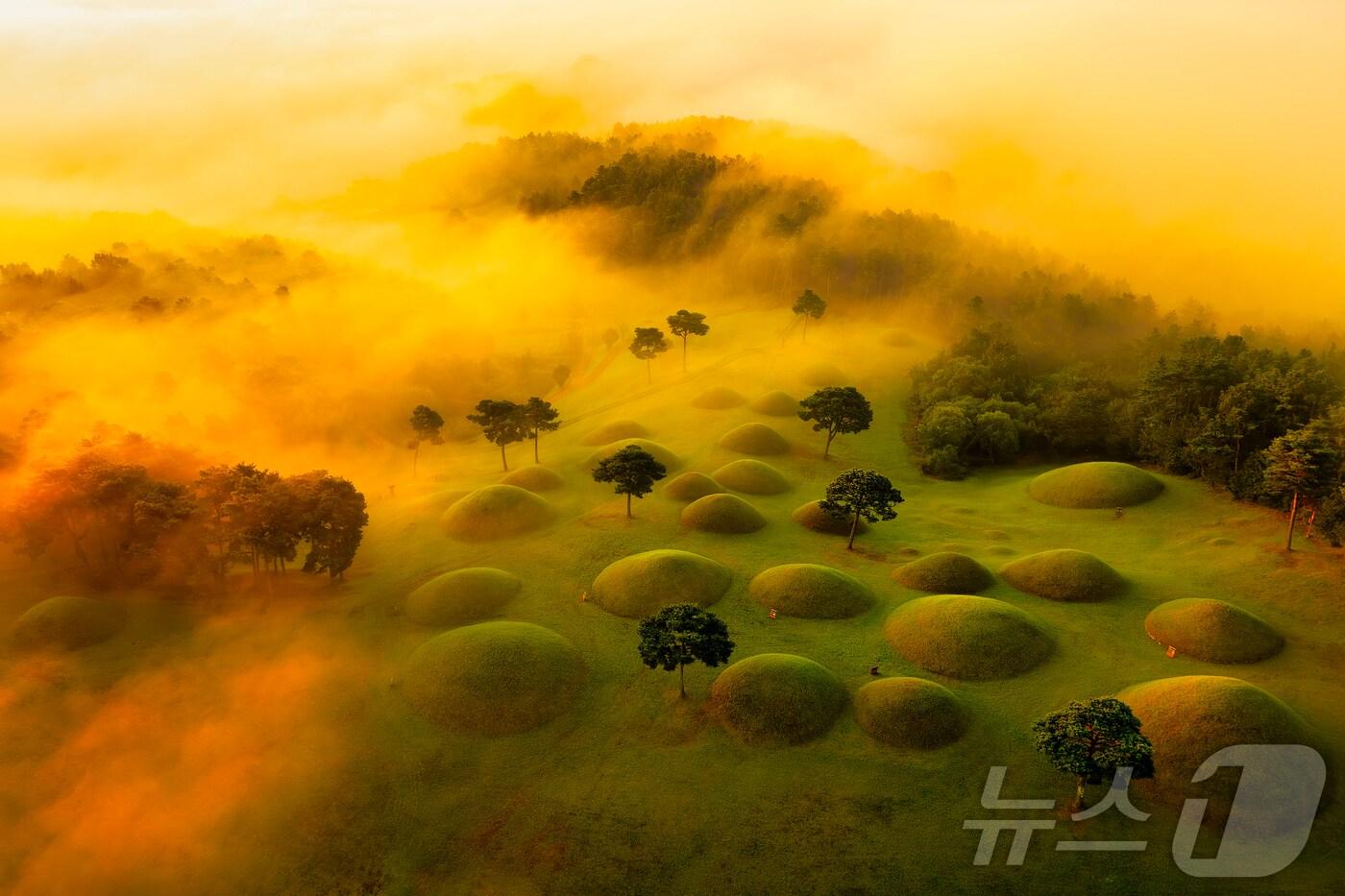 합천 옥전고분군(합천군 제공. 재판매 및 DB금지).
