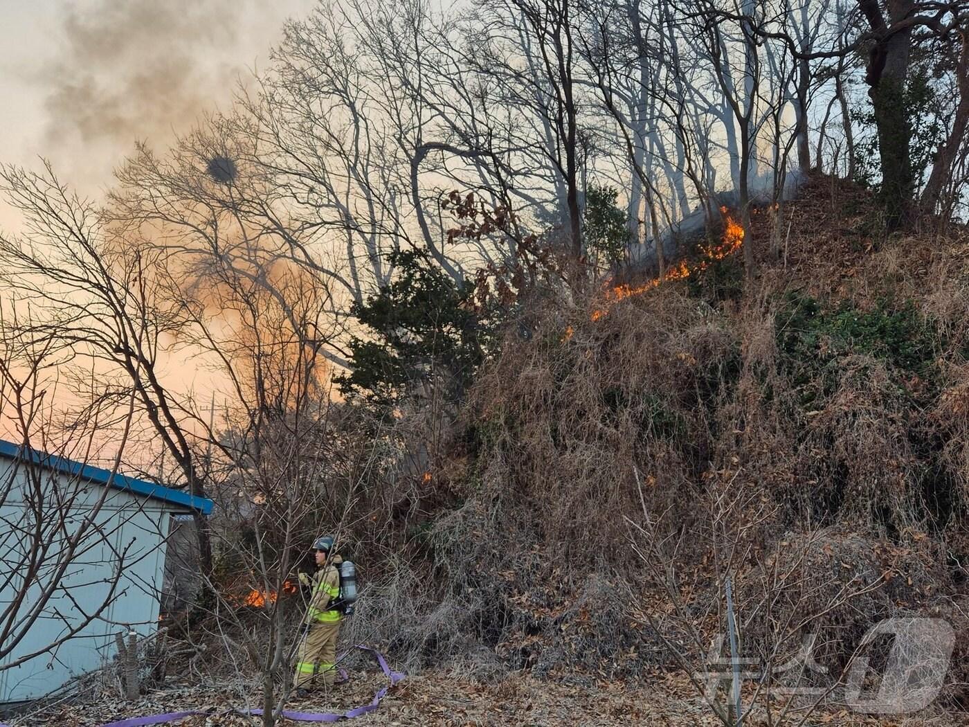 본문 이미지 - 산불 진화 모습. (보령소방 제공. 재판매 및 DB금지) /뉴스1