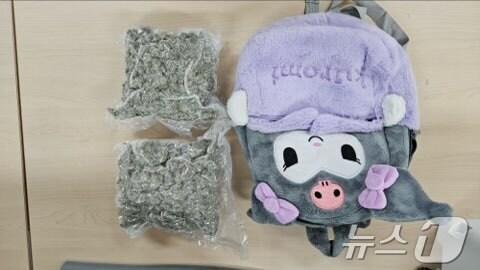 본문 이미지 - 인형 속에 은닉한 대마.(광주본부세관 제공. 재배포 및 DB 금지)/뉴스1