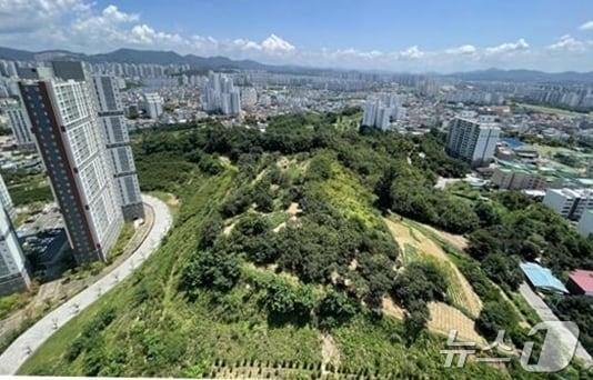 본문 이미지 - 청주시 상당구 영운공원. / 뉴스1