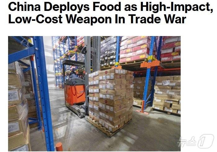 본문 이미지 - 해당 기사 - 블룸버그 갈무리