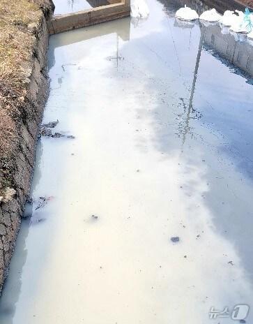 본문 이미지 - 대구염색산단 하수관로로 배출된 흰색 폐수.&#40;이주한 서구의원 제공. 재판매 및 DB 금지&#41;