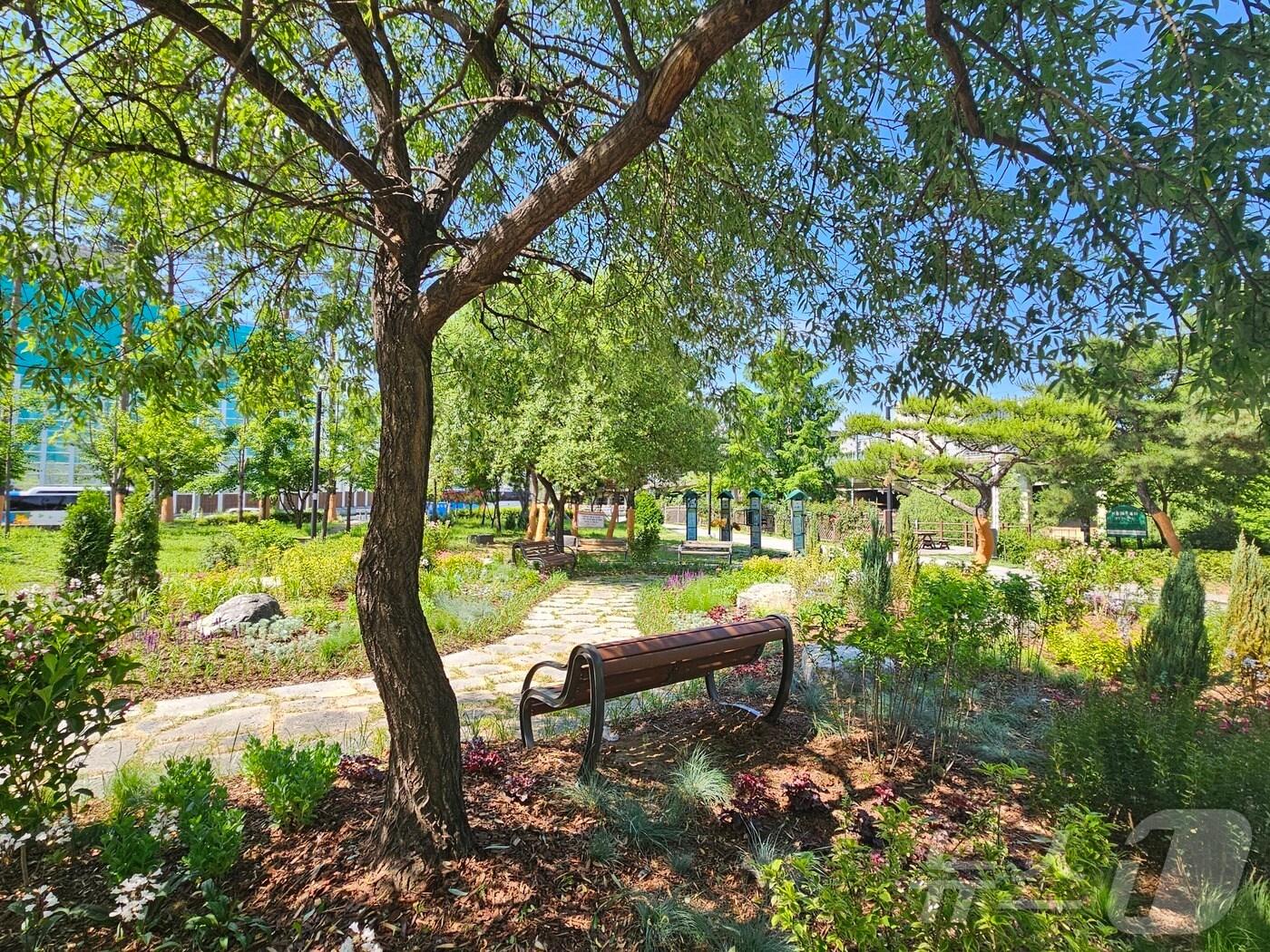 본문 이미지 - 서울시는 강동구 고덕천에 식재기반 및 휴게공간을 조성했다.&#40;서울시 제공&#41;