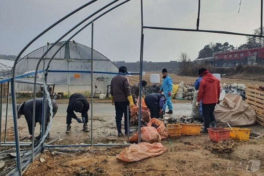 본문 이미지 - 충북 음성군이 본격적 영농철을 맞아 농촌인력지원 상황실을 운영한다.(음성군 제공. 재판매 및 DB금지)/뉴스1