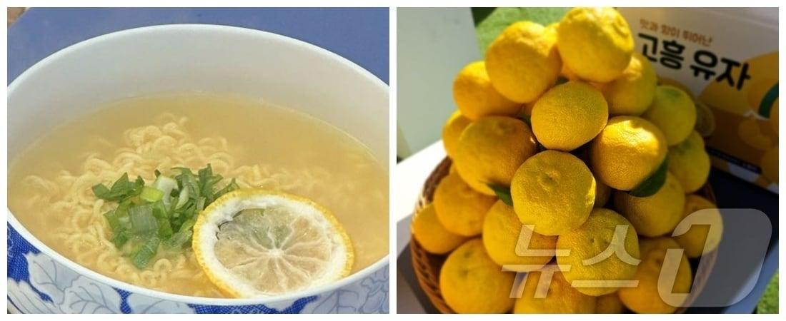 본문 이미지 - 왼쪽부터 고흥 유자라면, 고흥 유자.(고흥군 제공. 재판매 및 DB 금지)