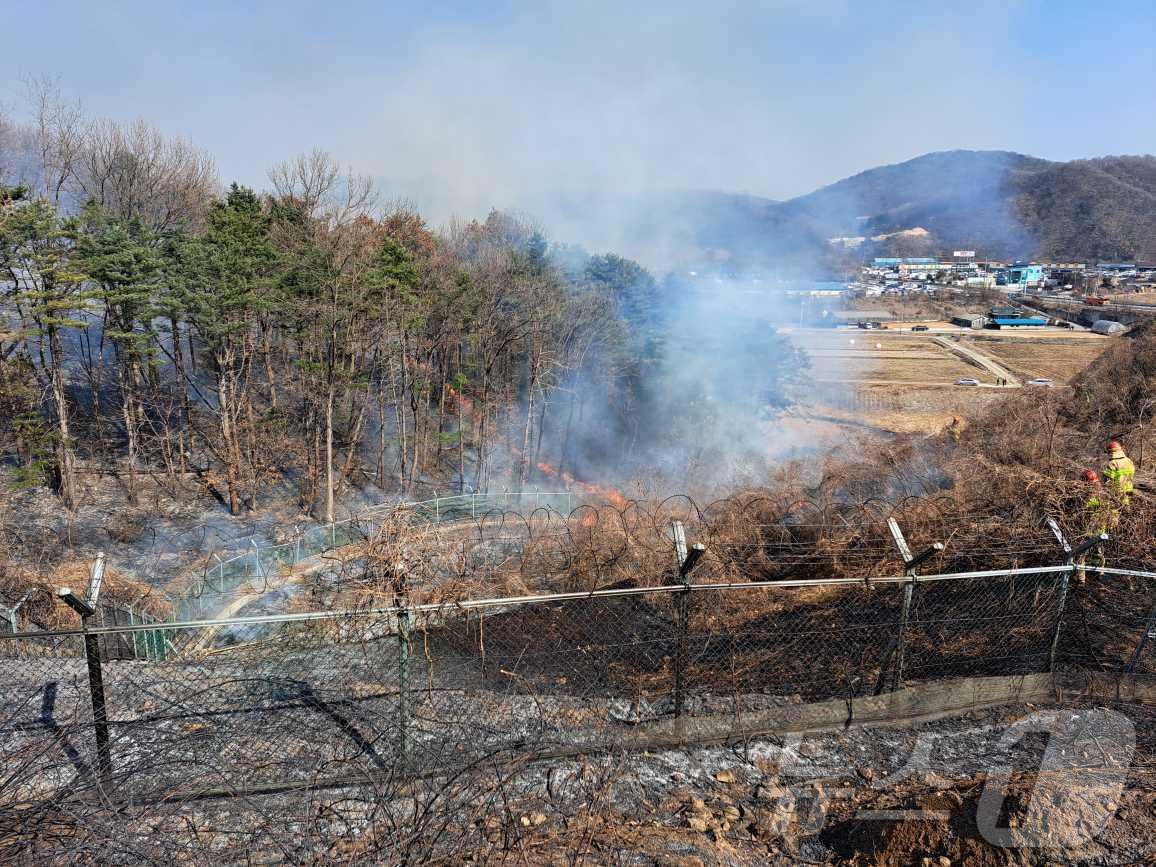 본문 이미지 - 강원 원주 문막읍 동화리 문막휴게소 강릉 방향 산불 현장.(강원도소방본부 제공, 재판매 및 DB금지)