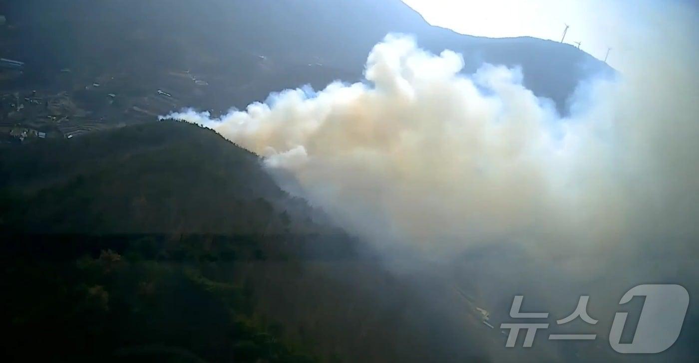 11일 오후 3시 3분쯤 양산시 상북면 내석리의 한 야산에서 불이 났다. 사진은 산불 현장 모습.(산림청 제공. 재판매 및 DB금지)