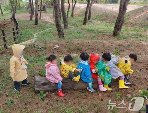 본문 이미지 - 어린이들이 ‘숲 체험프로그램’에 참여하고 있다. (홍성군 제공. 재판매 및 DB금지) /뉴스1