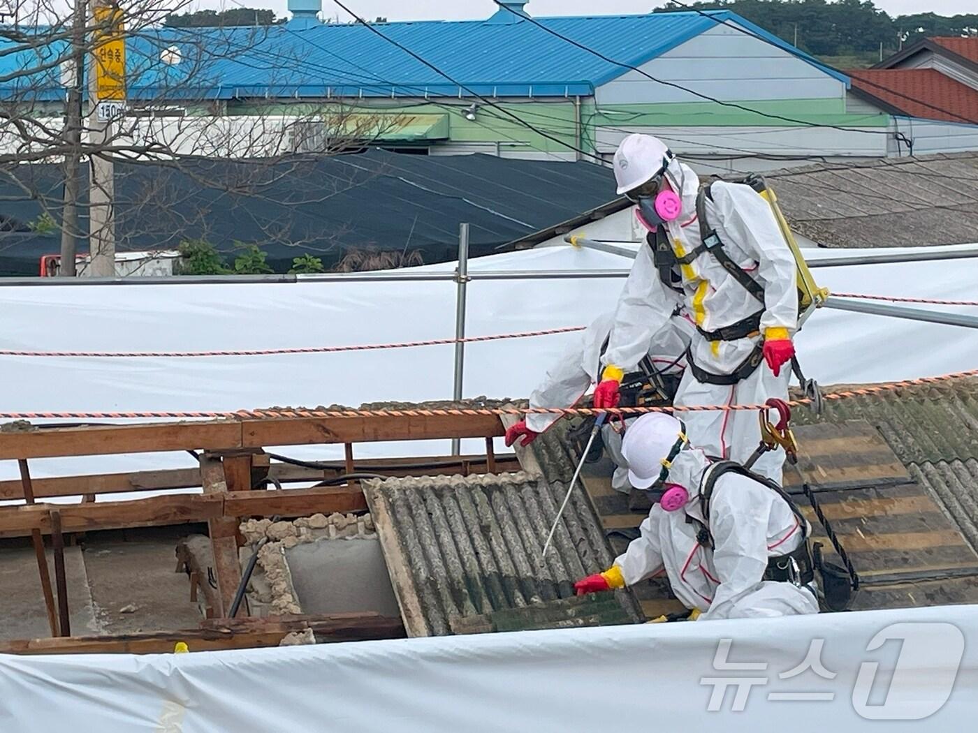 본문 이미지 - 정읍시, 슬레이트 처리 지원사업(정읍시 제공. 재판매 및 DB금지)