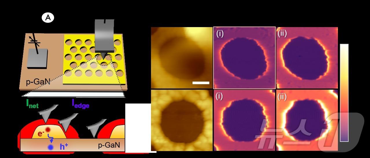 본문 이미지 - 핫홀 흐림 증폭 및 실시간 분석 기술  개념도. (KAIST제공. 재판매 및 DB금지) /뉴스1