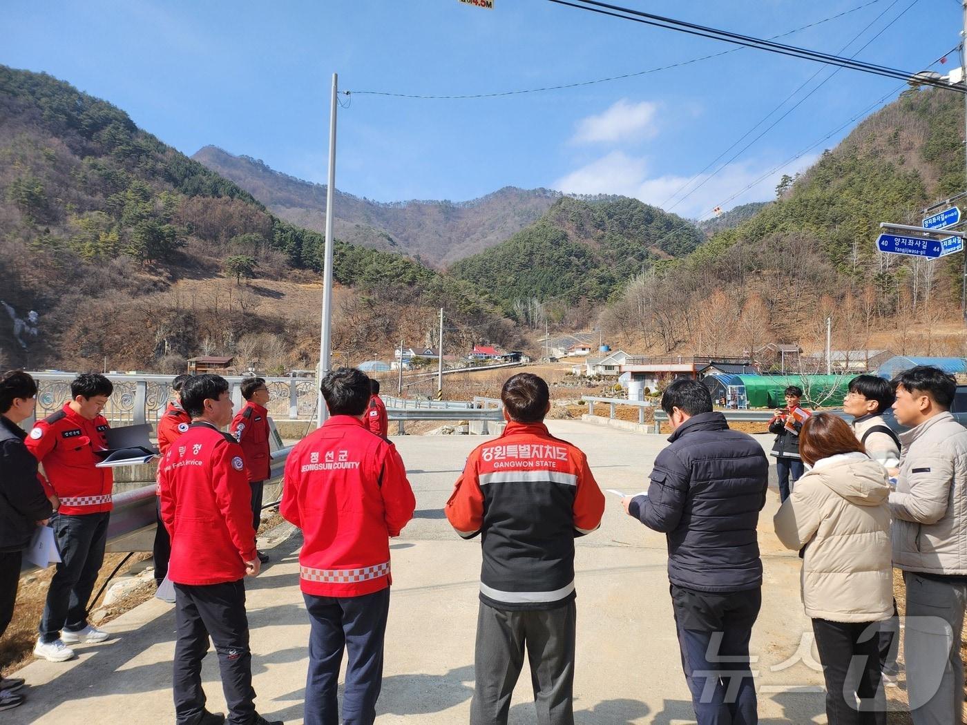 본문 이미지 - 동부산림청 소나무재선충병 발병지 현장토론회.&#40;동부산림청 제공, 재판매 및 DB 금지&#41; 2025.3.12/뉴스1