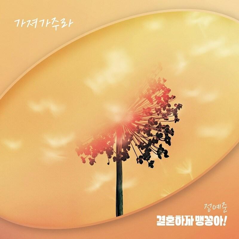 본문 이미지 - 사진제공=나인원 나인뮤직