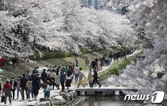 본문 이미지 - 울산 남구 무거천 일대. 2022.4.2/뉴스1 ⓒ News1