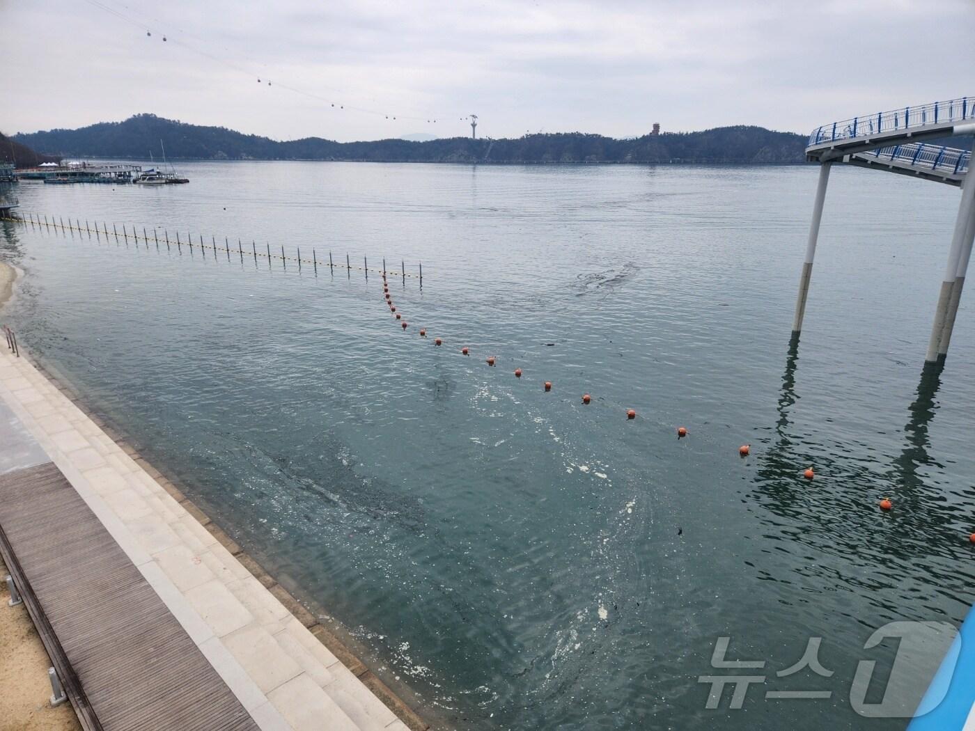 본문 이미지 - 6000톤급 화물선이 전남 목포 해상에 유출한 검댕으로 인해 인근 바다가 오염된 모습.(목포해경 제공. 재판매 및 DB 금지)