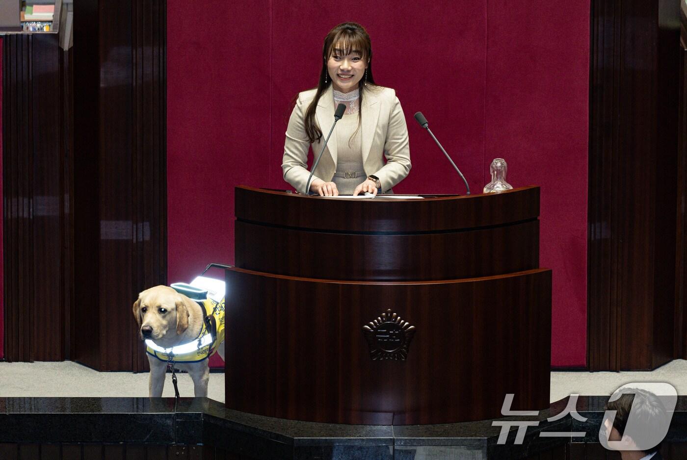 김예지 국민의힘 의원의 안내견 &#39;태백&#39;이가 13일 서울 여의도 국회 본회의장에서 열린 제423회 국회&#40;임시회&#41; 제1차 본회의에서 발언대 주위를 살피고 있다. 2025.3.13/뉴스1 ⓒ News1 이재명 기자