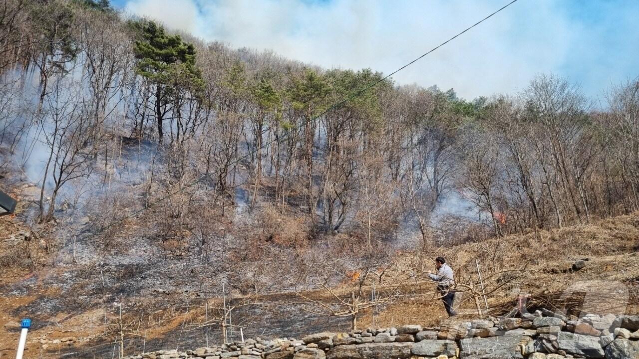 본문 이미지 - 강원 평창군 평창읍 마지리 산불 현장.(뉴스1 DB)