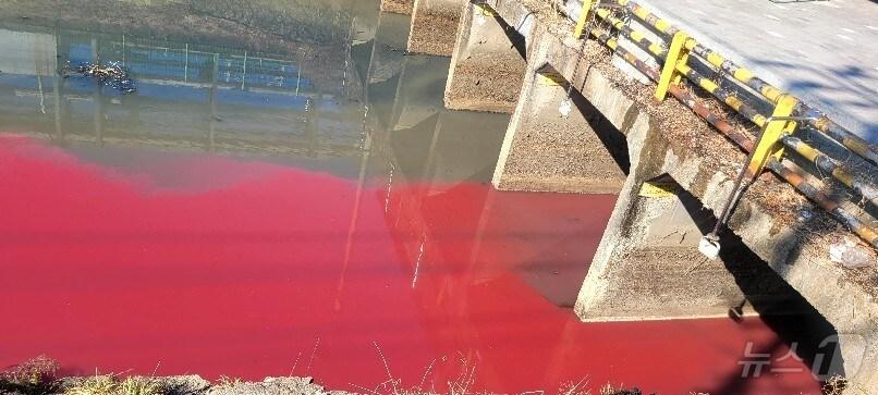 본문 이미지 - 대구 서구는 하수관로에 폐수를 방출한 염색산업단지 입주 업체 2곳에 과징금과 과태료를 각각 부과했다.&#40;재판매 및 DB 금지&#41;